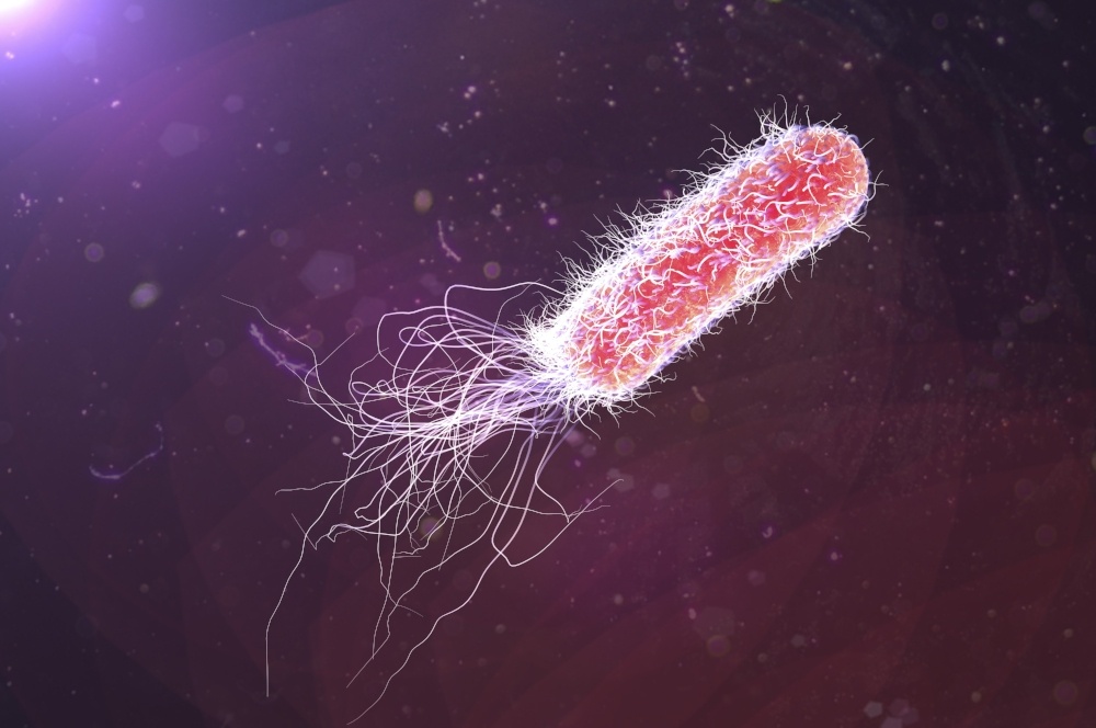 What are the Signs & Symptoms of Pseudomonas Aeruginosa?